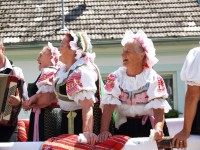 /album/slavnosti-2008/obr7-jpg/